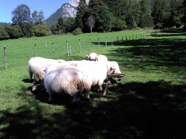 2011-09-13_14-18-06_358.jpg